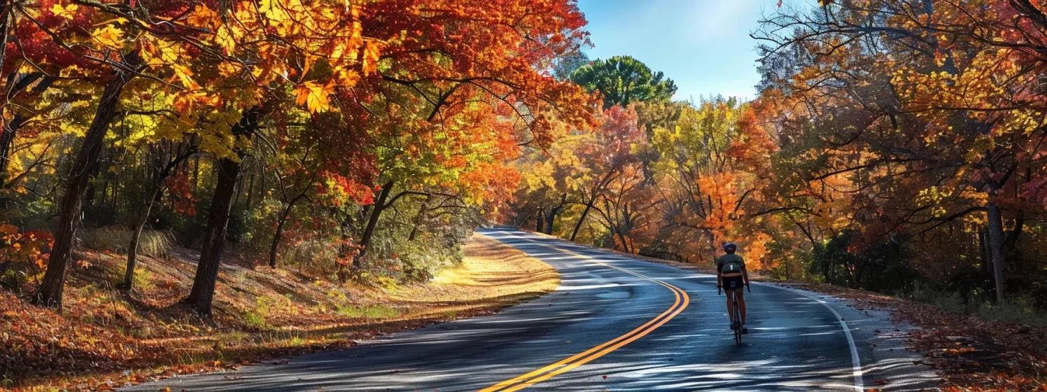 a determined cyclist races down a winding road lined with vibrant autumn leaves under a clear blue sky, embodying the strength and perseverance of waco bicycle accident attorneys.